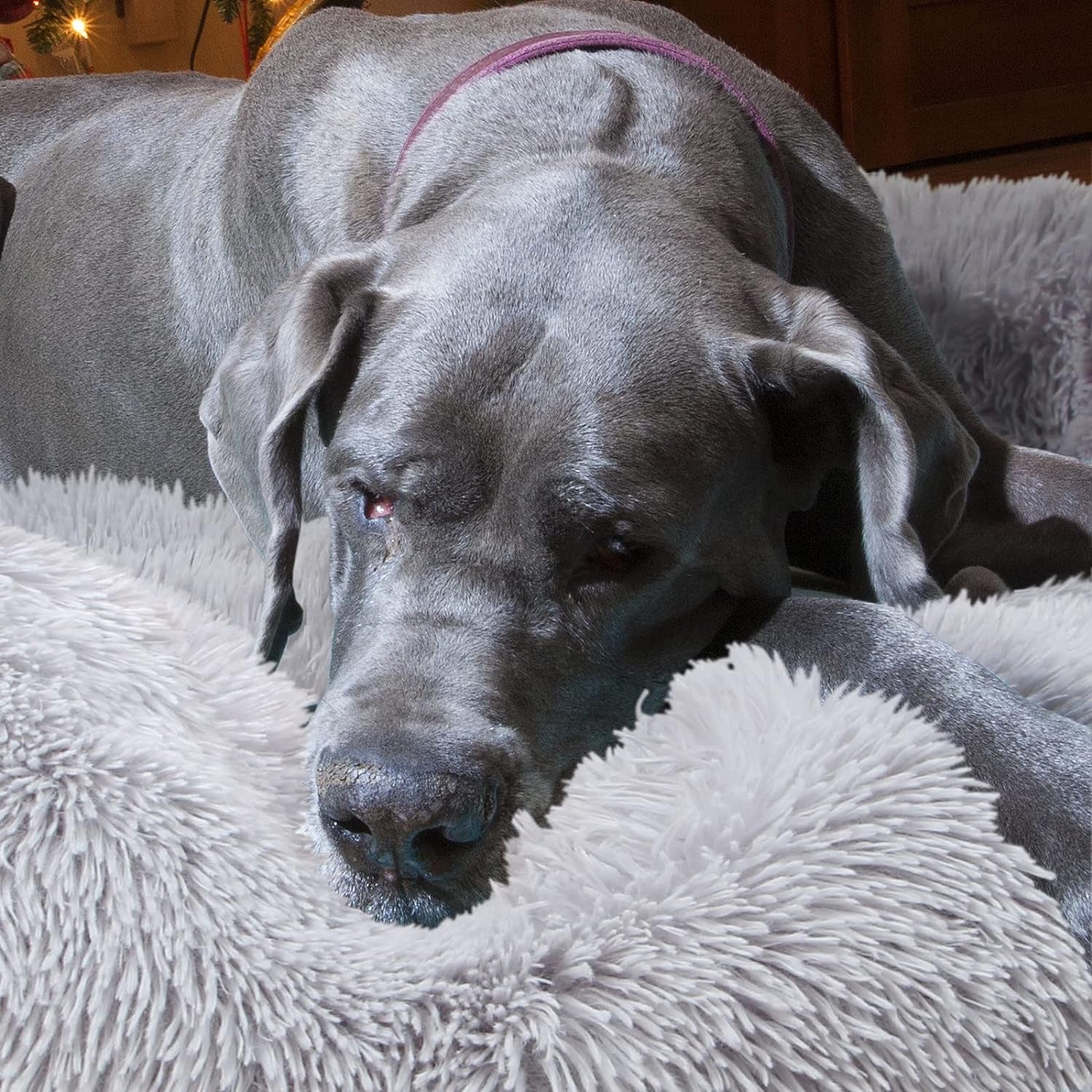 Jumbo plus Orthopedic Dog Bed with Removable Cover for Extra Large Breed Dogs with Zippered Closure Orthopedic Burrow Pet Bed 48 Inches Faux Fur for Senior Dogs Machine Washable