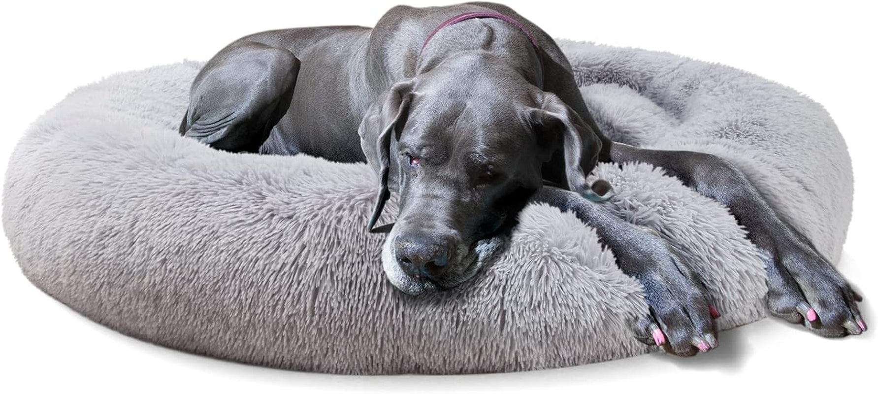 Jumbo plus Orthopedic Dog Bed with Removable Cover for Extra Large Breed Dogs with Zippered Closure Orthopedic Burrow Pet Bed 48 Inches Faux Fur for Senior Dogs Machine Washable